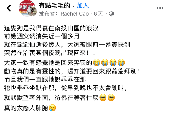 流浪狗消失一个月，喂养它的恩人去世后，它竟跑回来守灵了......