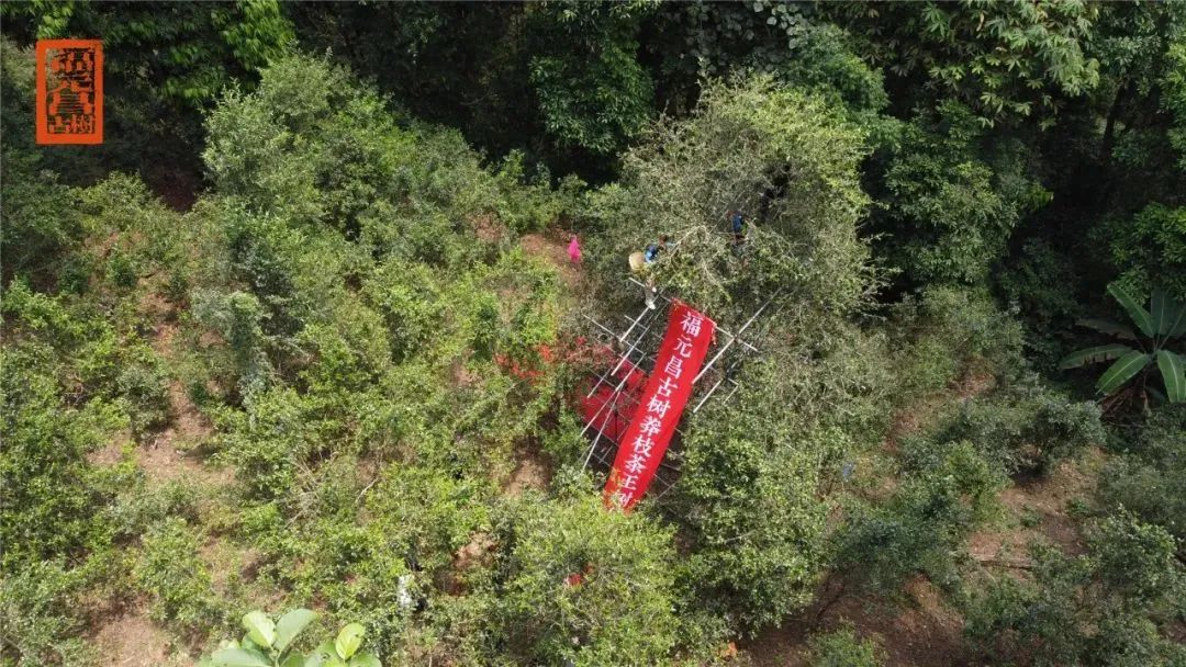 七喜吧 福利社区_七喜吧 福利社区_七喜吧 福利社区