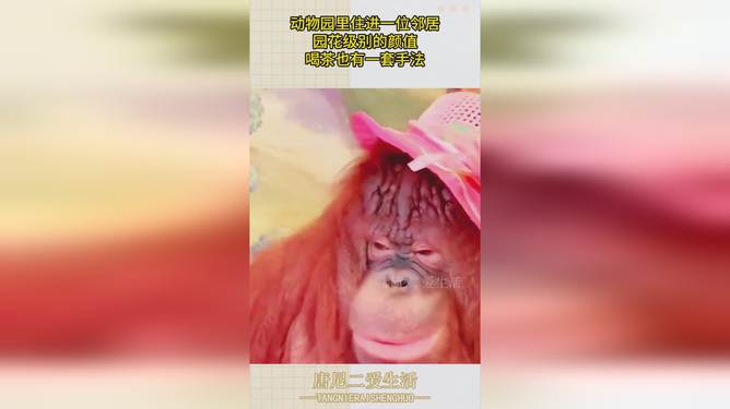 银魂第一季_银魂ecosystem_银魂剧场版