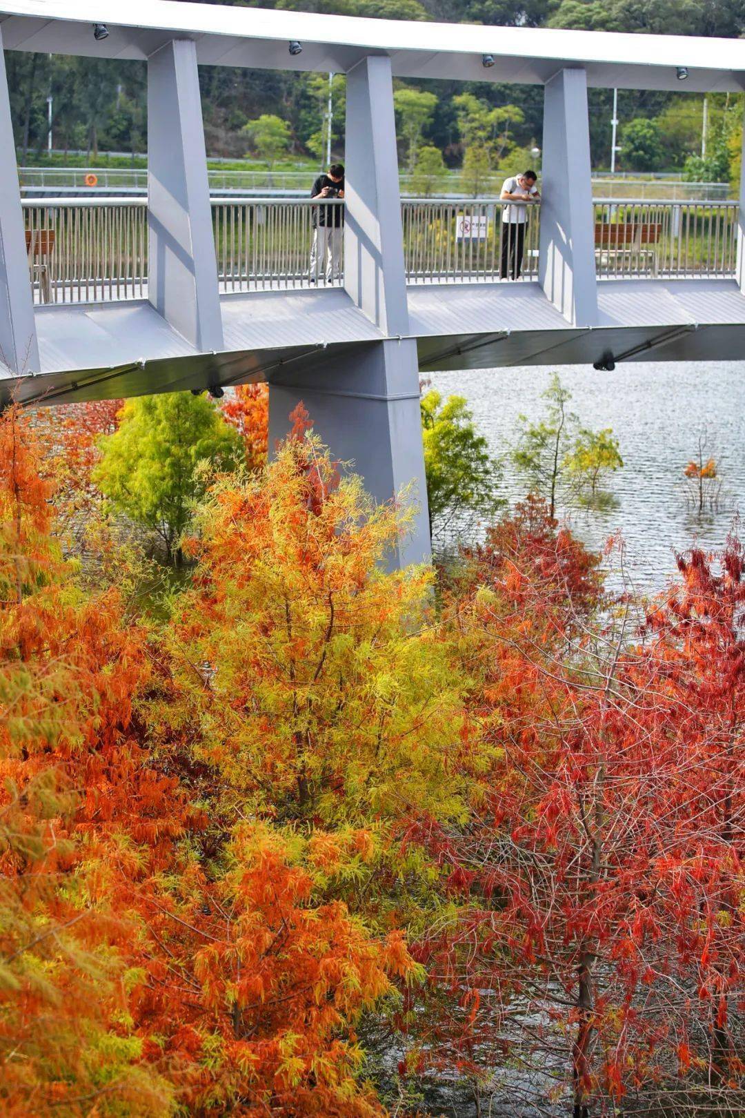 杭州道路监控查询_杭州交通监控_在哪查道路监控