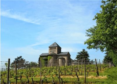 安卓下载软件_wine searcher安卓下载_安卓下载安装