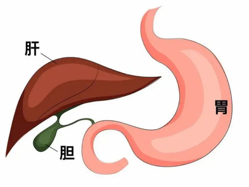 急性盲肠炎避免吃_急性盲肠炎吃什么_急性盲肠炎吃点什么食物