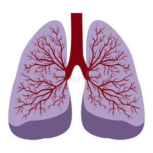 肺结核严重会导致肺癌吗_肺结核严重会变成什么病_肺结核严重了会怎样