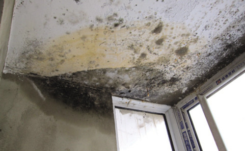 返潮的墙面 返潮的墙面