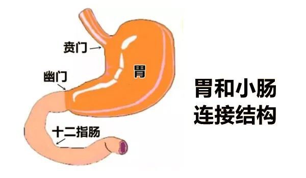 中医胃病论坛一_治胃病的中医讲座_中医辨证论治胃病