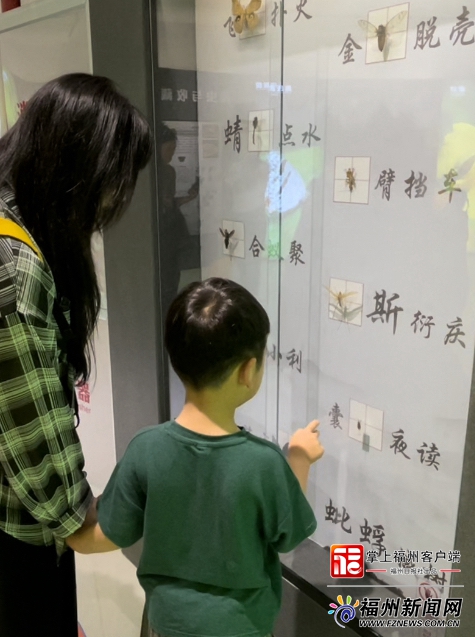 “五一”新去处！福州动物园昆虫馆升级亮相