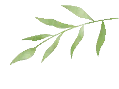 朝阳妇科医院咨询免费咨询_医院挂号朝阳妇科_朝阳妇科挂号医院排名