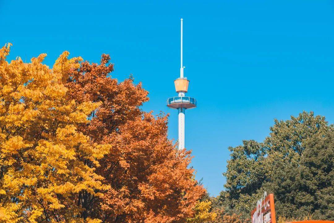 windows xp系统盘_命盘在线八字排盘系统_元亨利贞在线排盘系统