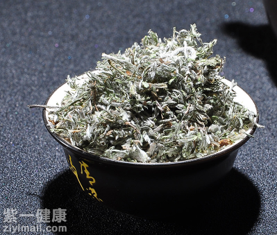 茵陈