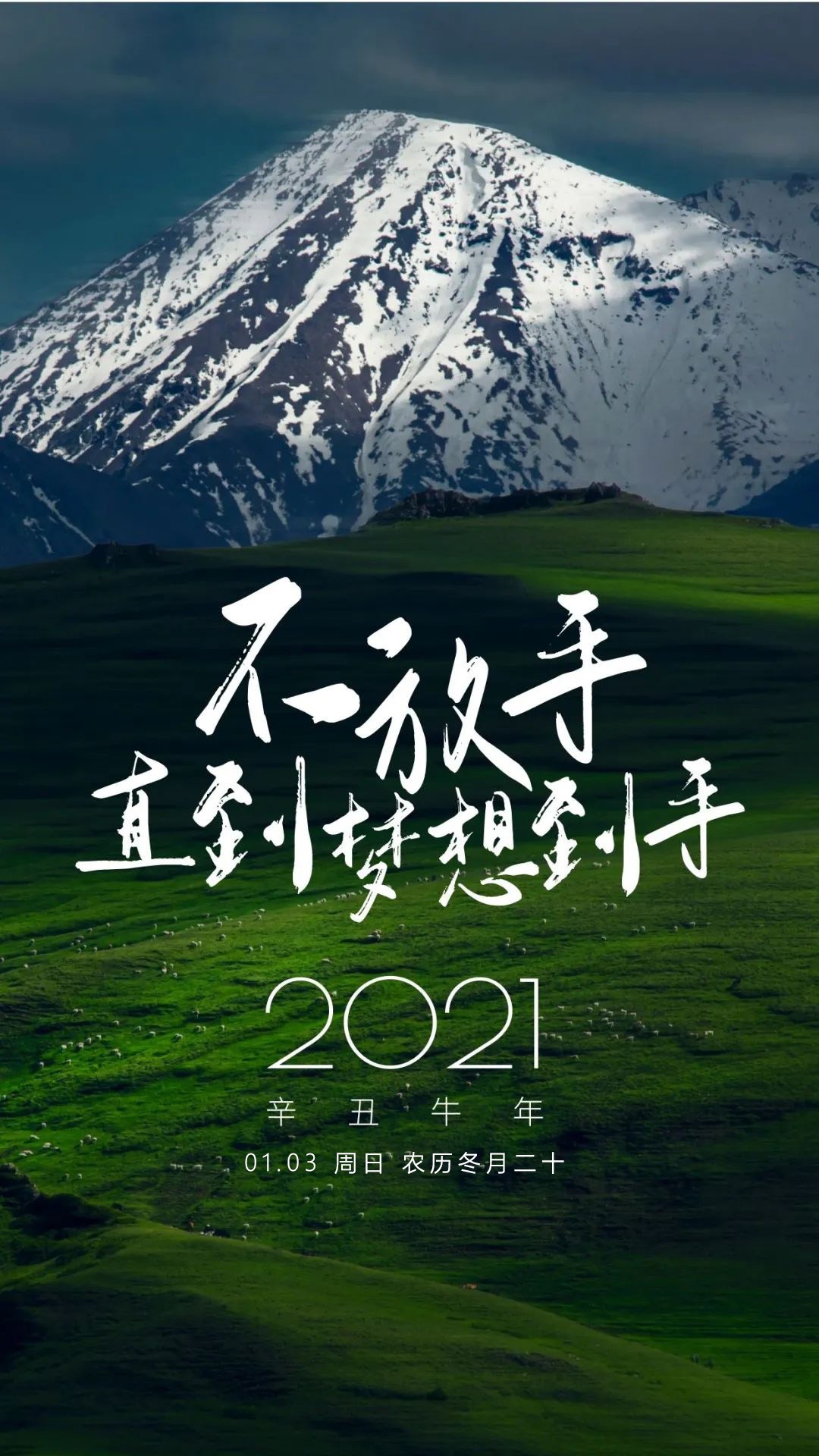金虎时评_金虎时评_金虎时评