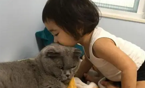  猫咪被小主人抱着“蹂躏”，一脸生无可恋：做猫好难啊