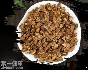 菊苣根图片