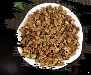长白山菊苣根茶