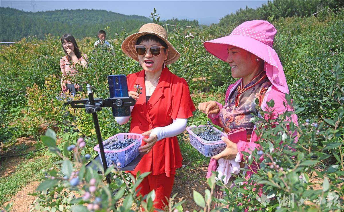 乐至门户网_乐至县论坛_乐至县网页