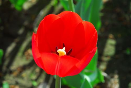 全国公安政府查重名_公安部名字查重_公安部查重名