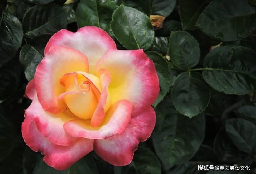 核对证姓名身份怎么填_核对身份证号码和真实姓名_身份证姓名核对