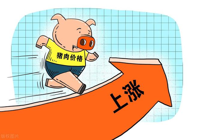 绵羊皮价格一般多钱_绵羊皮皮板_绵羊皮哪里收