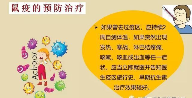化疗后感冒咳嗽怎么办_咳嗽化疗是什么原因_化疗期间感冒可以化疗吗