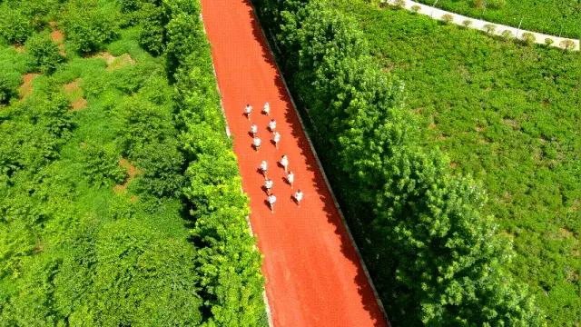 福建政务服务网身份证挂失_福建身份证挂失声明_福建身份证挂失电话查询