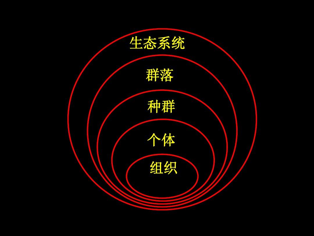 ecosystem diagram_ecosystem diagram_ecosystem diagram