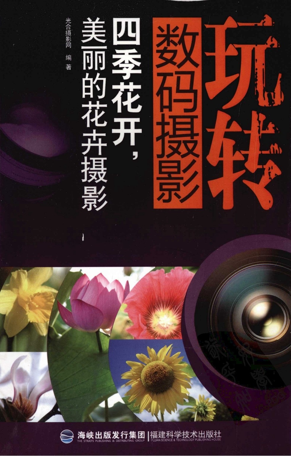 简单又好看图书造型_图书好看造型简单图片_图书好看造型简单又漂亮