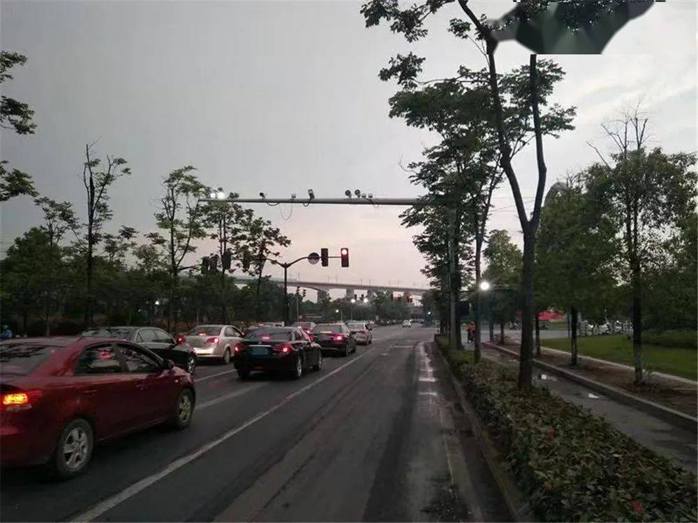 道路实时监控_实时路段监控_实时道路监控app