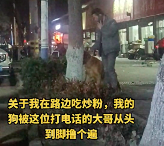 大哥打电话时，将拴在树上的狗从头到脚撸个遍！