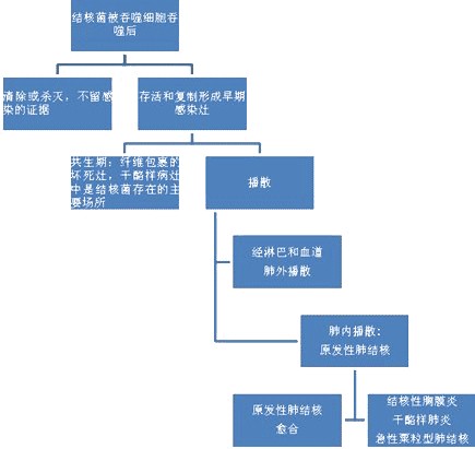 肺隔离结核性继发要住院吗_继发性肺结核要隔离吗_继发性肺结核隔离措施