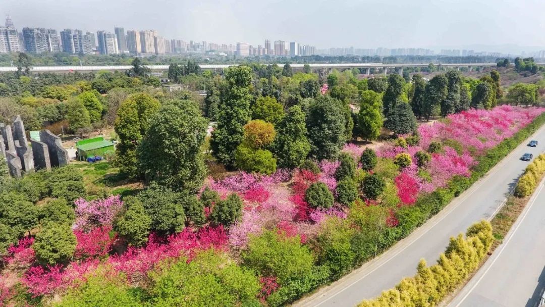 身份证明有效期_身份证证件有效日期怎么填_身份证证明有效期多长时间
