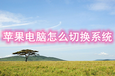 安装xp win7双系统_安装系统Win11_安装系统win10多少钱