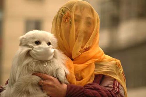 朝阳医院石景山分院官网_北京石景山区朝阳医院_朝阳医院石景山分院预约电话