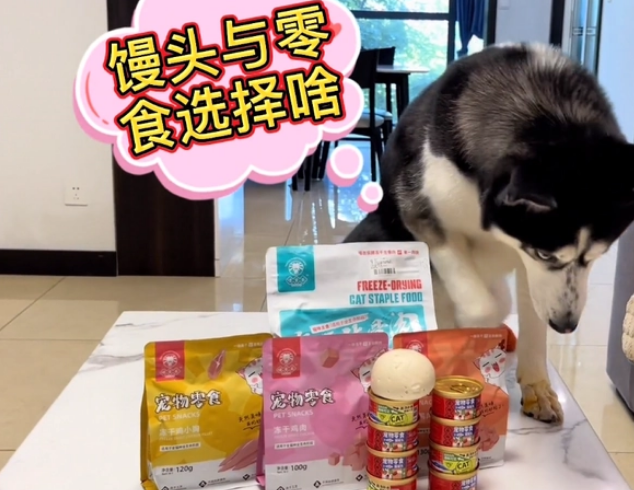 主人买了一大袋宠物零食让狗狗选择，结果它选了一个馒头，太逗了