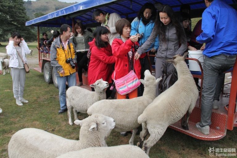 3d终极车神破解无限金币版_云与绵羊破解版无限星_绵羊与云朵破解版