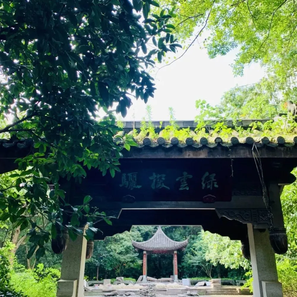 杭州绿云置业有限公司_杭州绿云信息技术有限公司_杭州绿云怎么样
