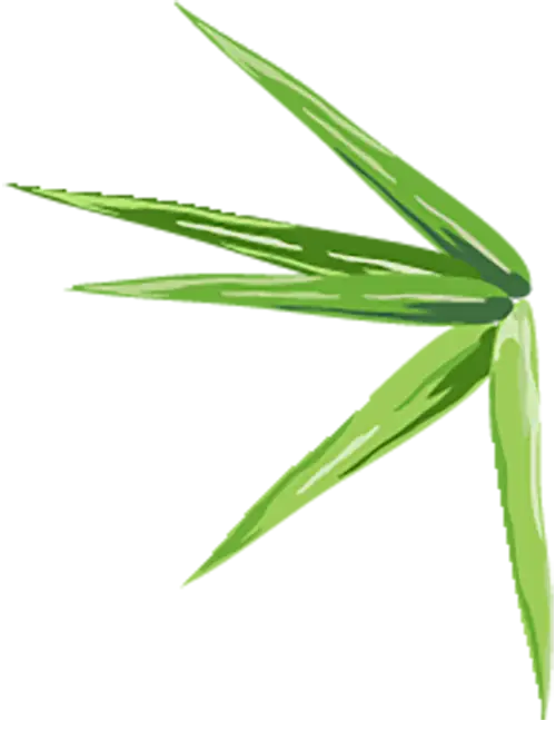 儿童肺炎的早期症状_儿童肺炎早期怎么治_早期症状肺炎儿童吃什么药