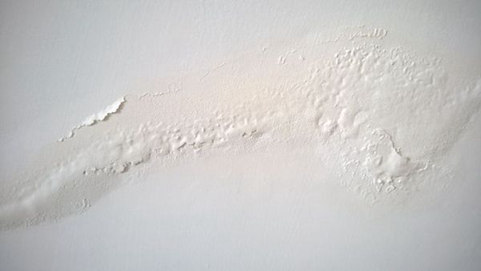 t01158cb106fe004e7d.jpg