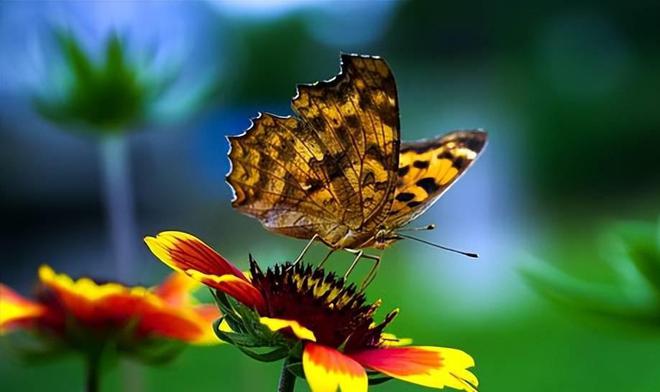 层别图制作方法_层别图制作_如何制作图层