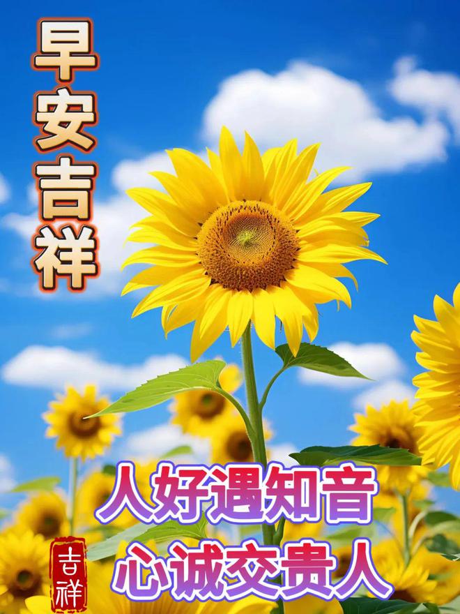 night breeze乐谱_乐谱简单歌曲_乐谱电子琴初学者
