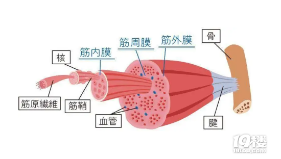 hisiliconkirin659好吗_hisiliconkirin659好吗_hisiliconkirin659好吗