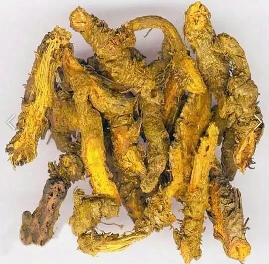 哮喘治疗用药注意事项_哮喘用药指导_初诊哮喘怎么用药