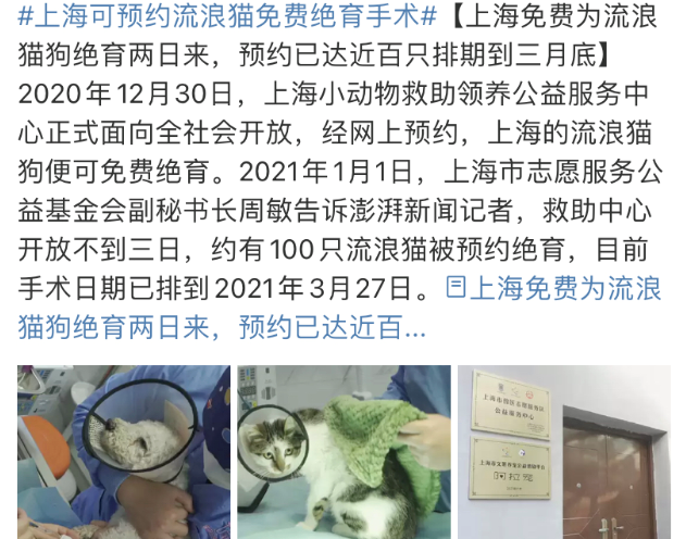 主人隔离时，宠物怎么办？上海给了我们答案！