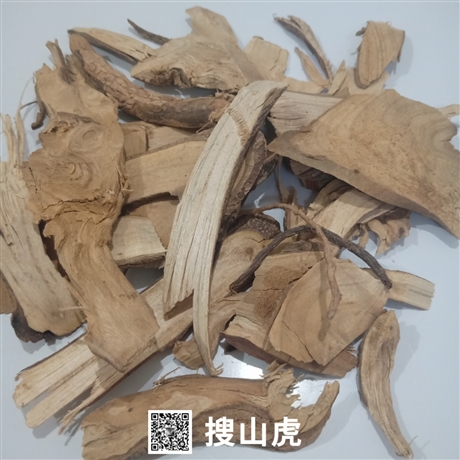 中药搜山虎图片_中药搜山虎的别名_中药搜山虎