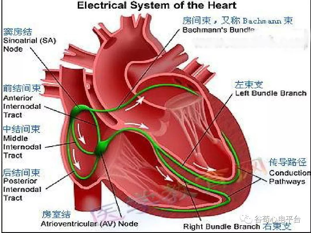 传动功用系统主要分为_传动系统的主要功用_传动功用系统主要包括