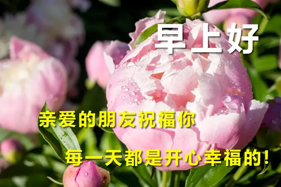 激活器电话服务怎么关闭_激活服务是什么_服务器电话激活