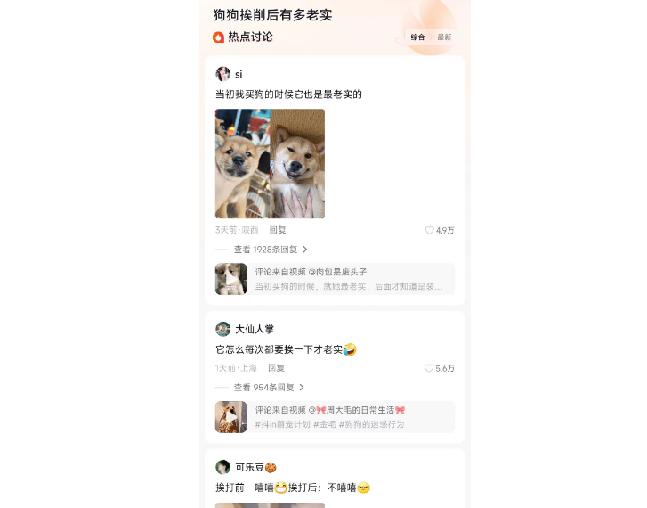 狗狗挨削后有多老实，乖巧懂事成爱宠