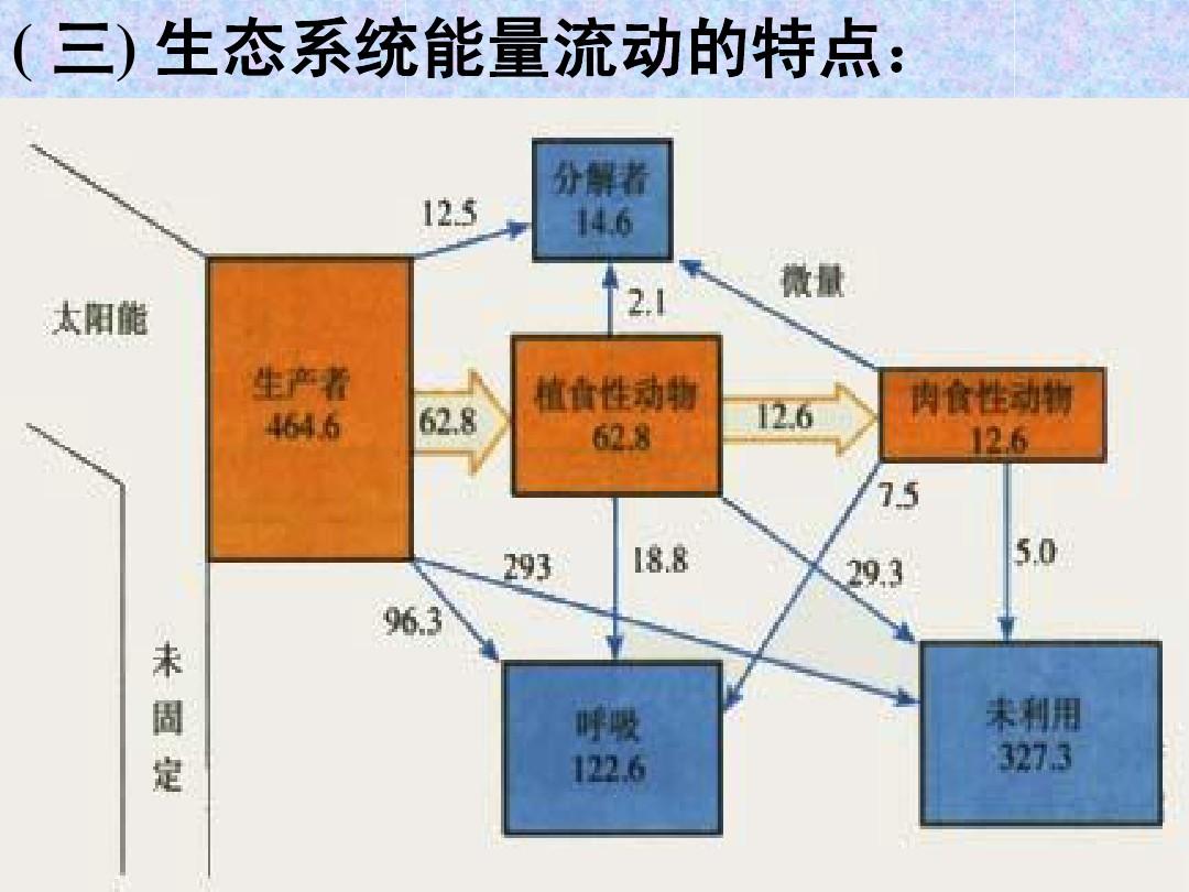 ecosystem是什么意思_意思是什么_意思是谁发现的