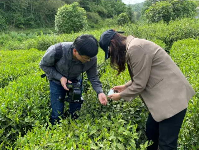 有效身份证包括_身份证证件有效_身份证有效是什么意思