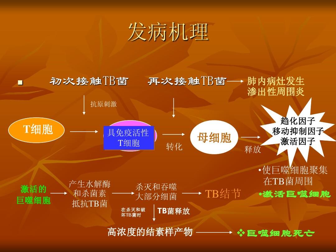 肺结核性继发复发会传染人吗_肺结核性继发复发会怎么样_继发性肺结核会复发吗