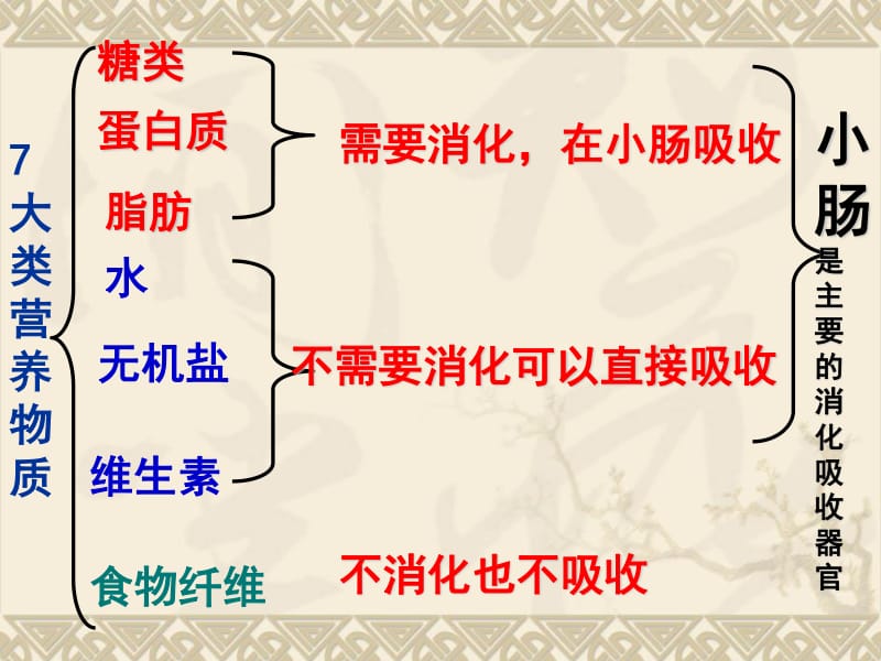 急性盲肠炎吃点什么食物_急性盲肠炎不及时治疗_急性盲肠炎避免吃什么