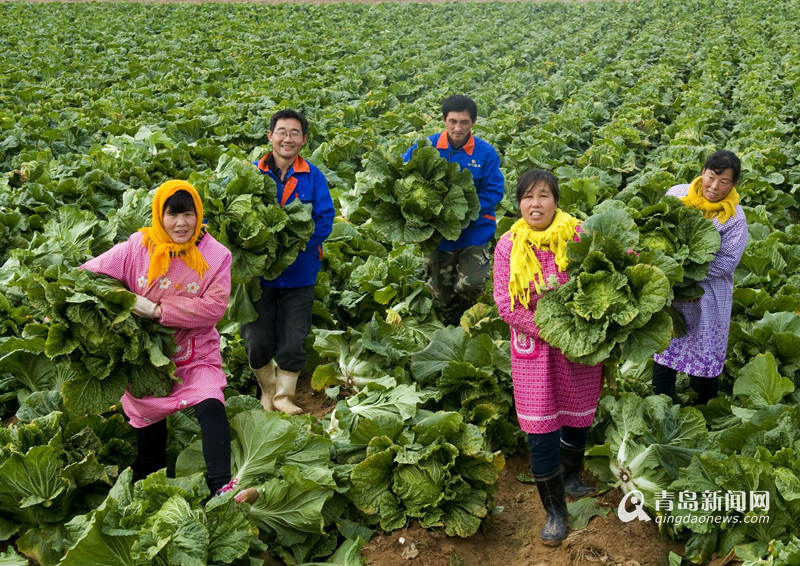身份证号码带姓名_给我一个身份证号码带名字带地址_带有身份证号的证件